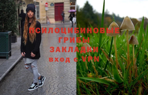 амф Арсеньев
