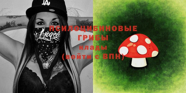 дмт Аркадак