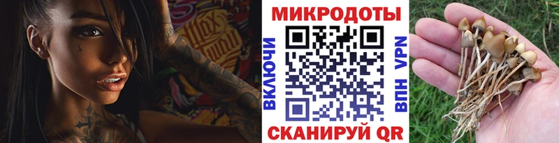 мега онион  где купить наркоту  shop официальный сайт  Галлюциногенные грибы мухоморы  Правдинск 